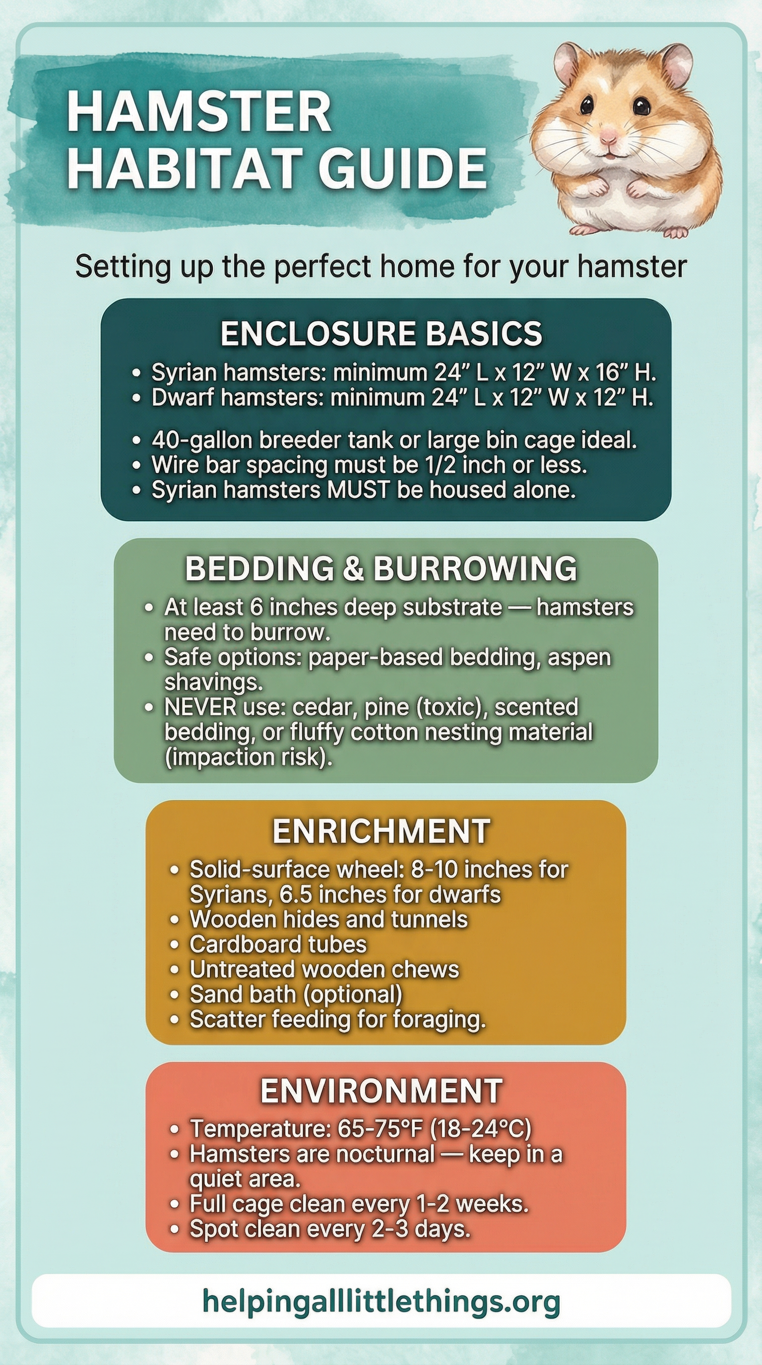 An infographic showing the ideal habitat setup for hamsters, including enclosure type, bedding depth, enrichment items, and environmental conditions.