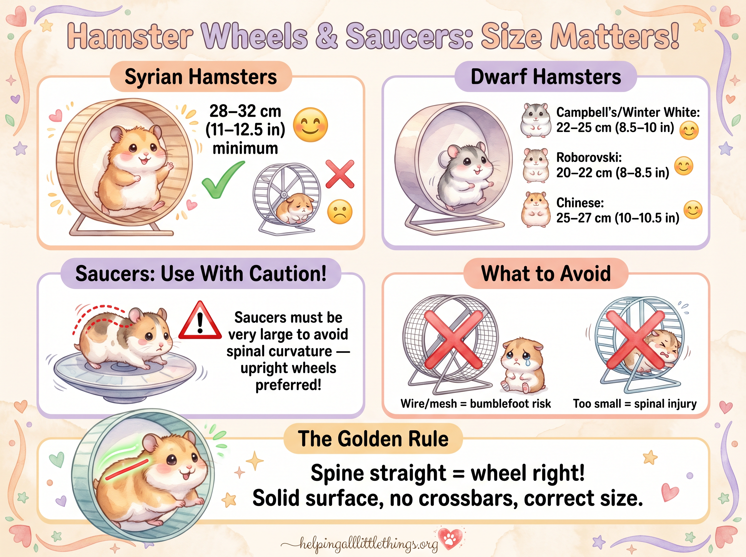 Kawaii infographic showing minimum wheel sizes for Syrian and dwarf hamsters, saucer risks, and what to avoid