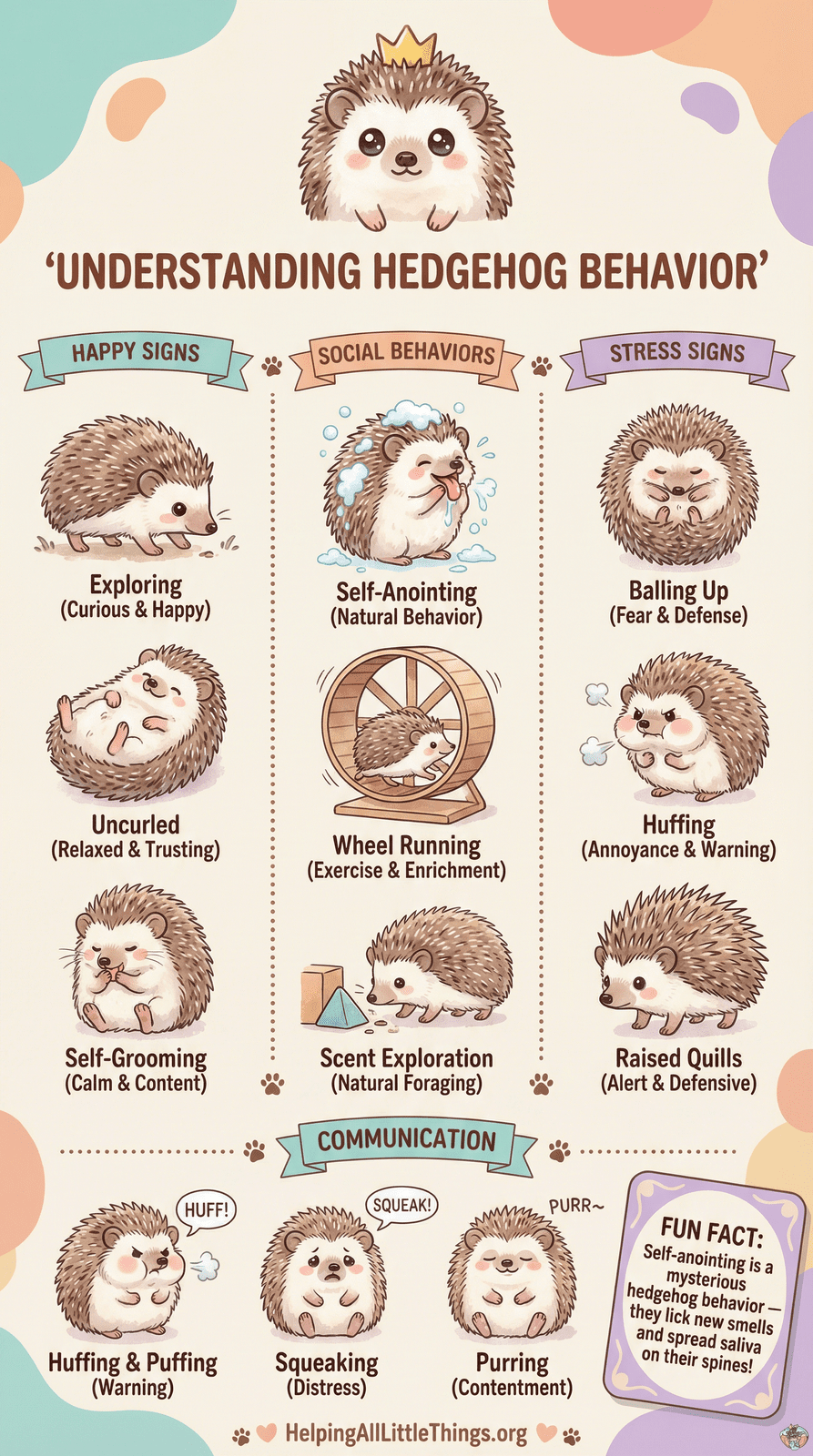 Infographic from Helping All Little Things