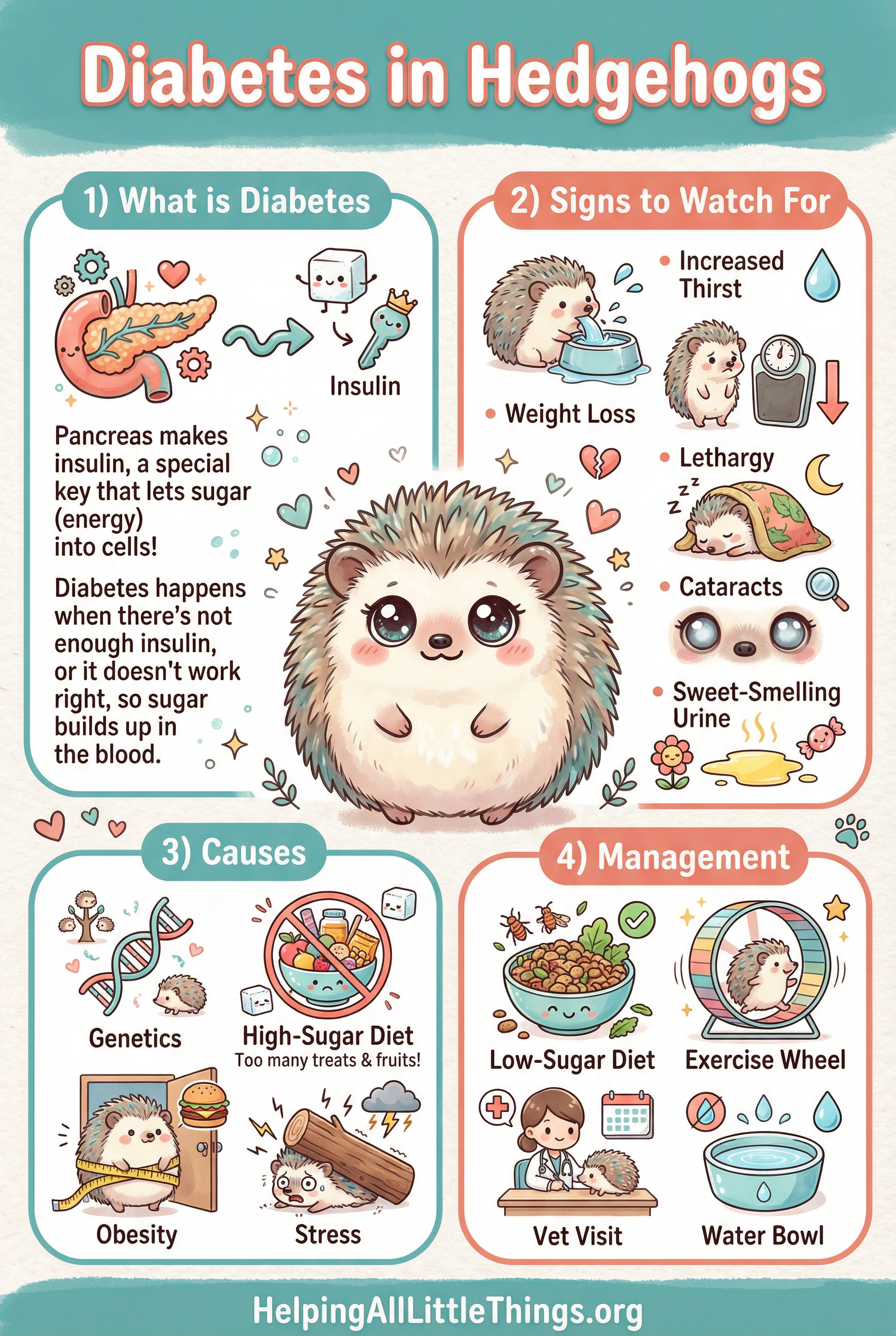 Infographic from Helping All Little Things