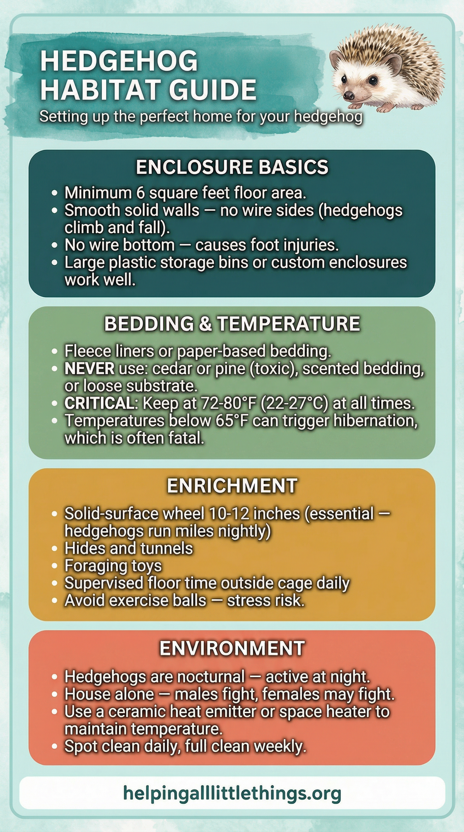 An infographic showing the ideal habitat setup for hedgehogs, including enclosure type, bedding, heating, enrichment items, and environmental conditions.