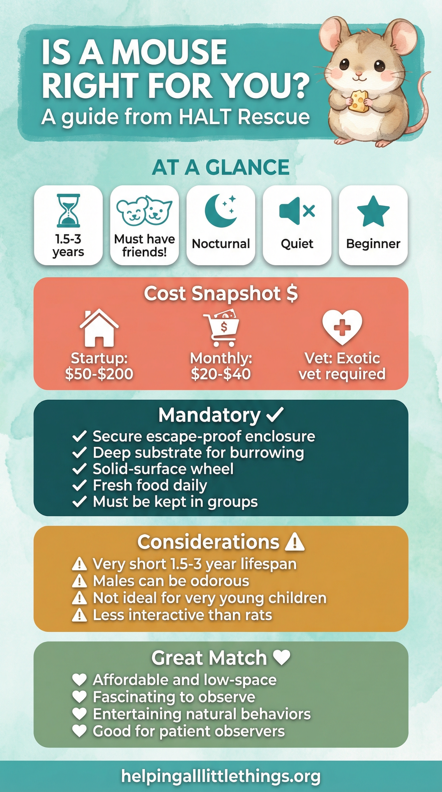 Is a Mouse Right for You? Quick reference guide from HALT Rescue