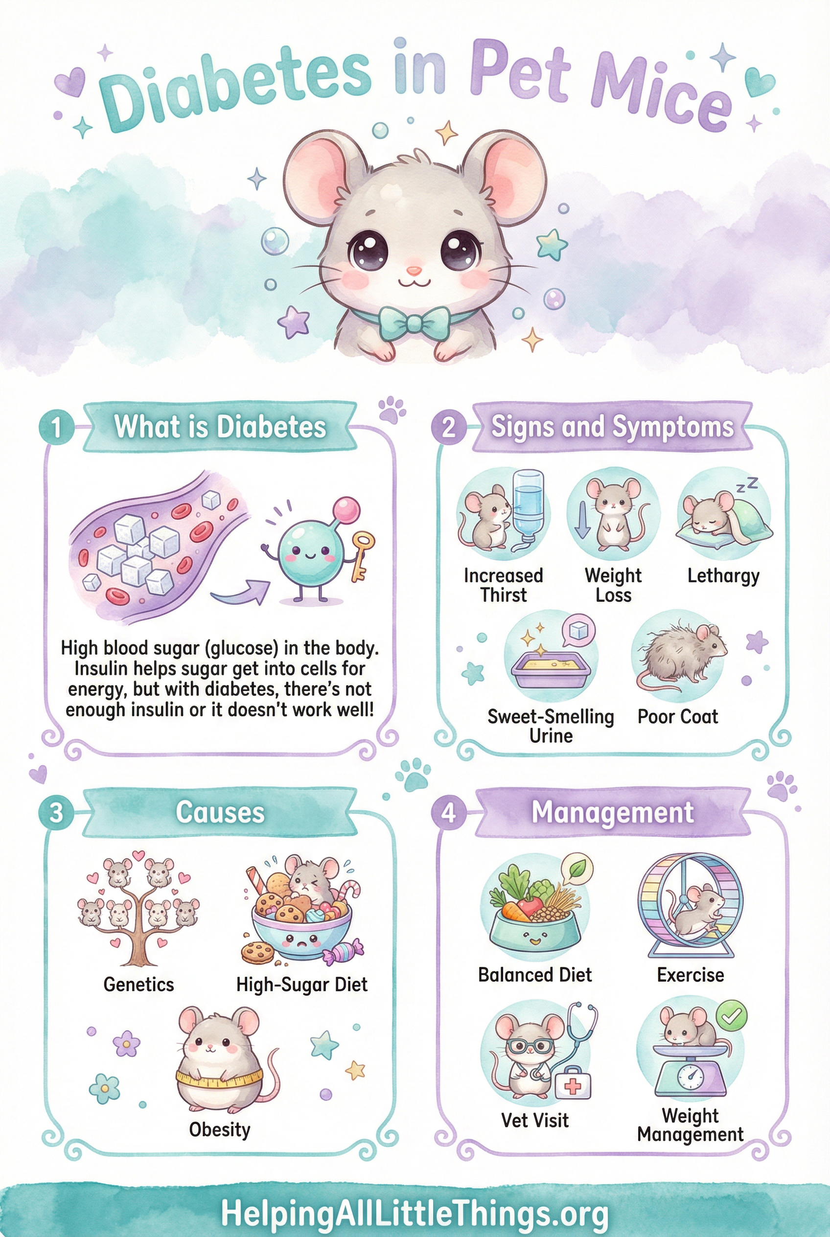 Infographic from Helping All Little Things