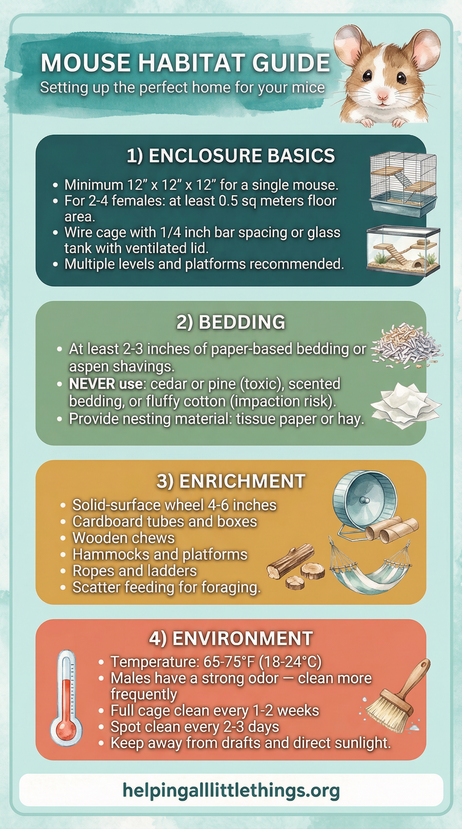 An infographic showing the ideal habitat setup for mice, including enclosure type, bedding, enrichment items, and environmental conditions.