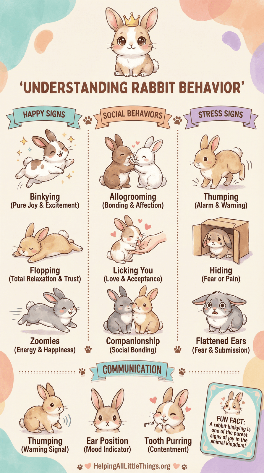 Infographic from Helping All Little Things