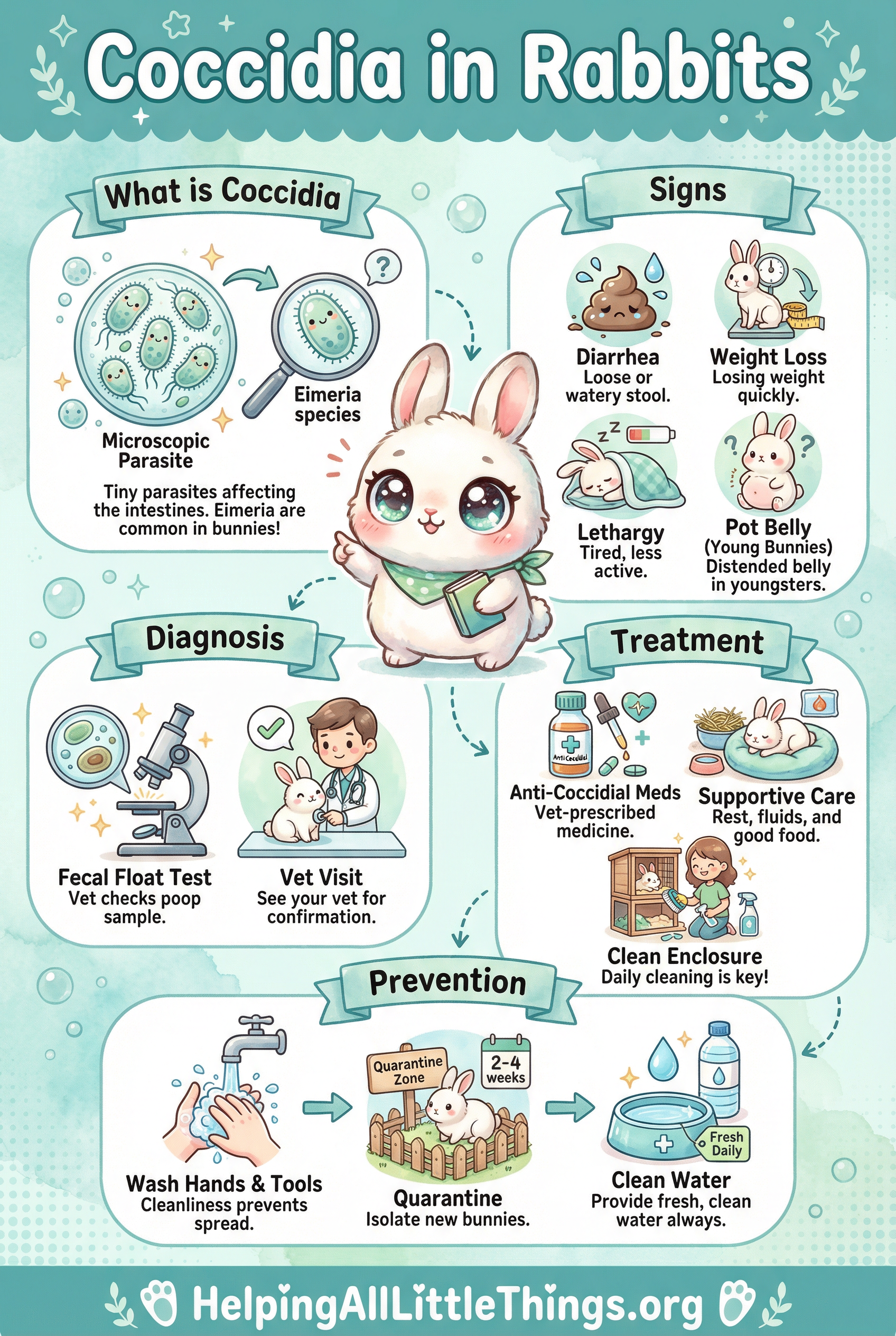 Infographic from Helping All Little Things