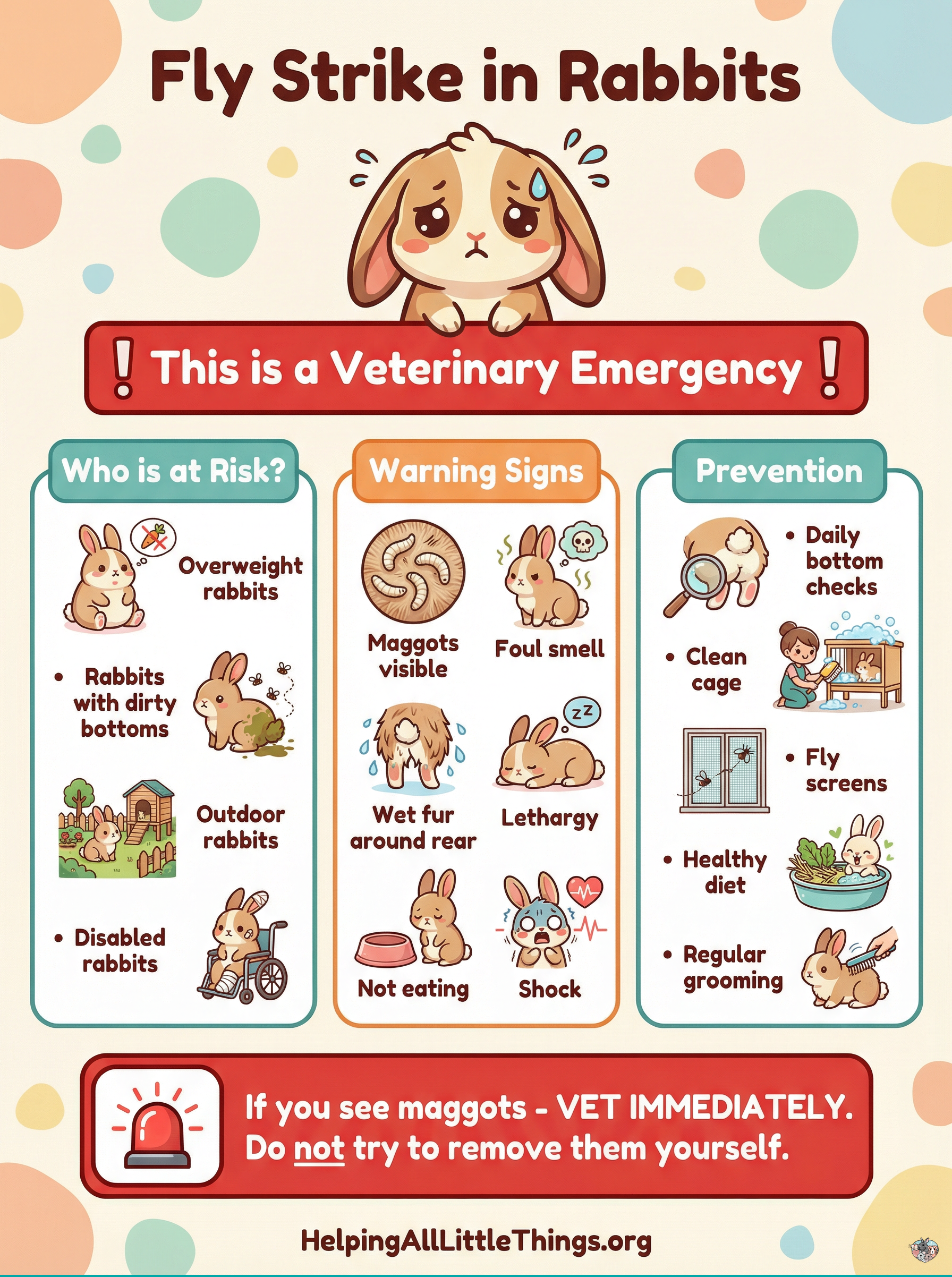 Infographic from Helping All Little Things