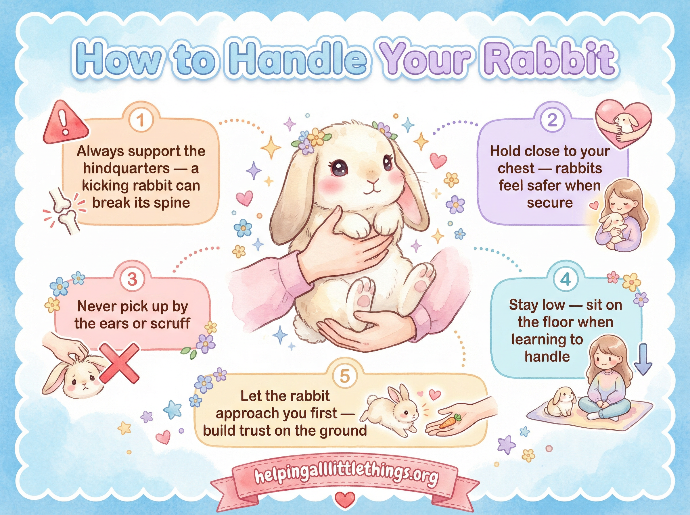 Infographic from Helping All Little Things