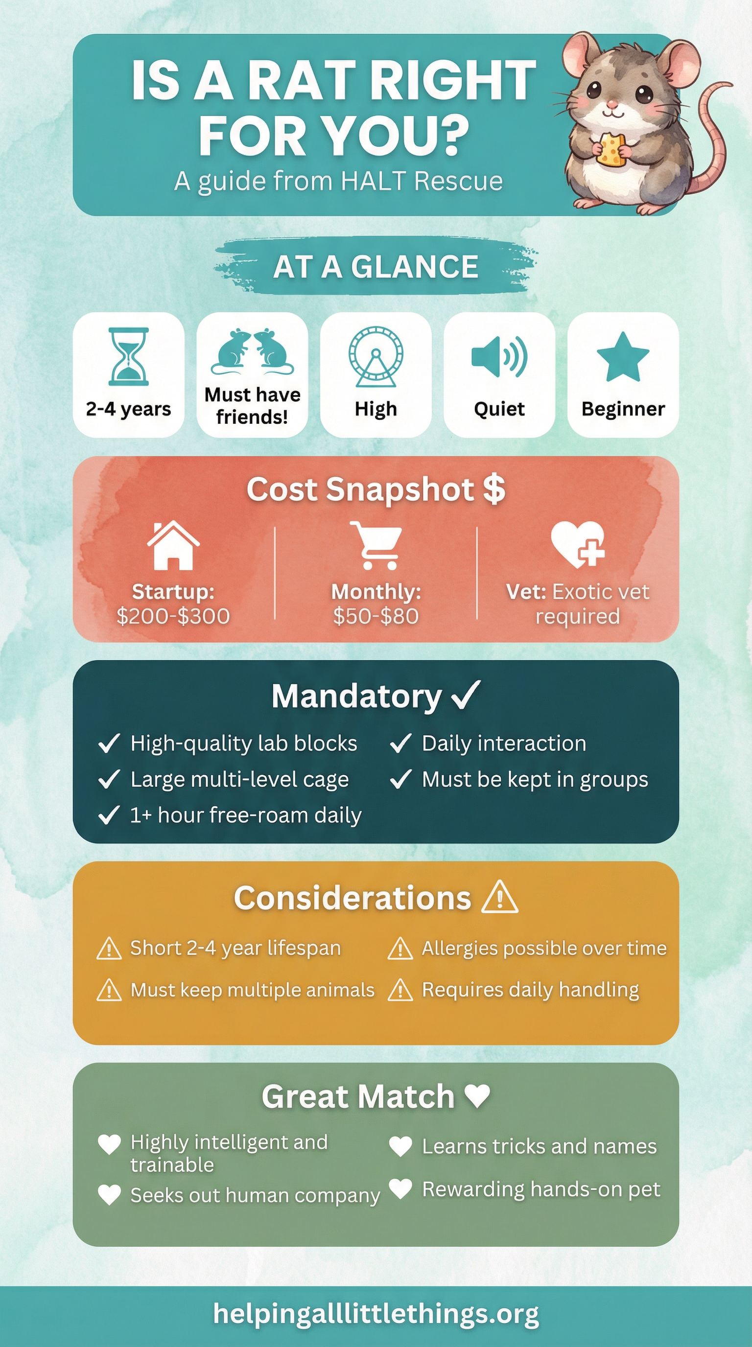 Is a Rat Right for You? Quick reference guide from HALT Rescue