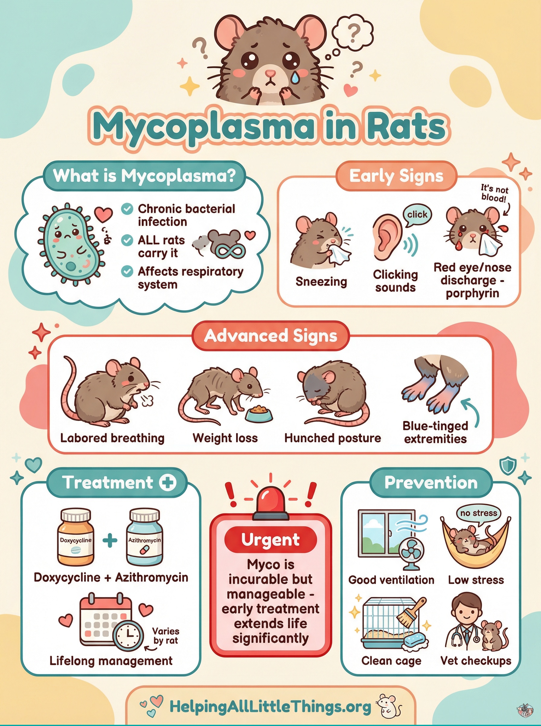 Infographic from Helping All Little Things