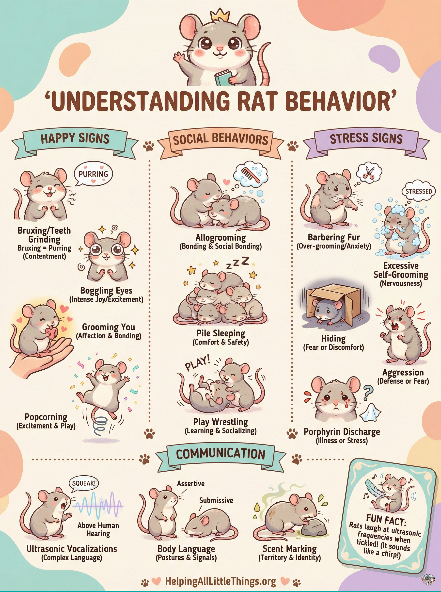 Infographic from Helping All Little Things