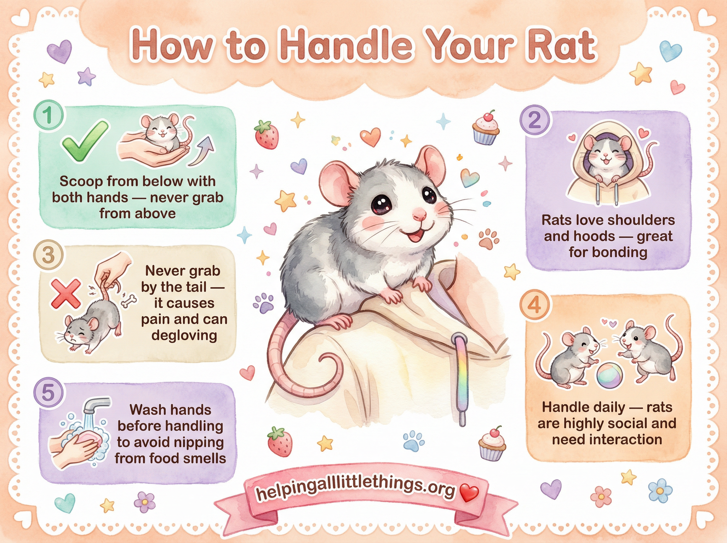 Infographic from Helping All Little Things