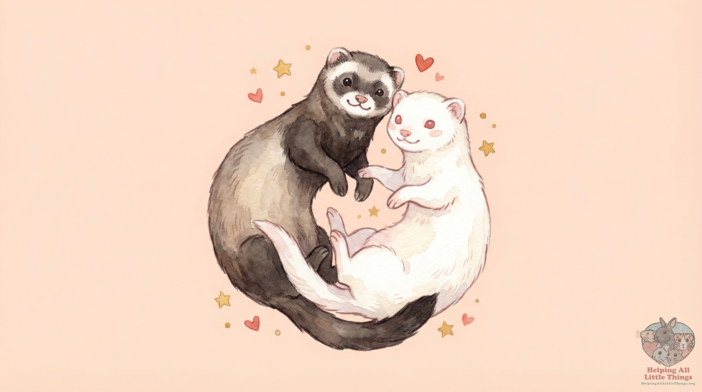 ferrets tag illustration